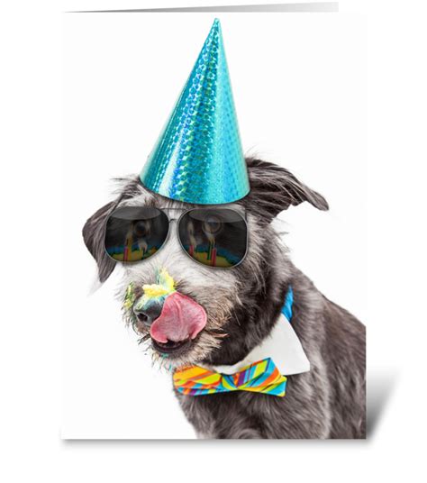 Funny Birthday Dog Celebrating With Cake - Send this greeting card png image