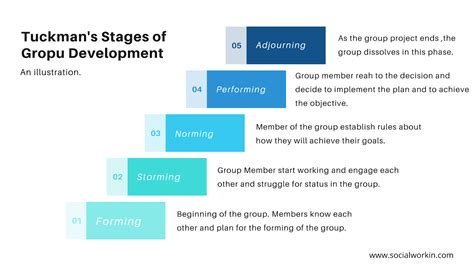 What Are The 5 Stages Of Development