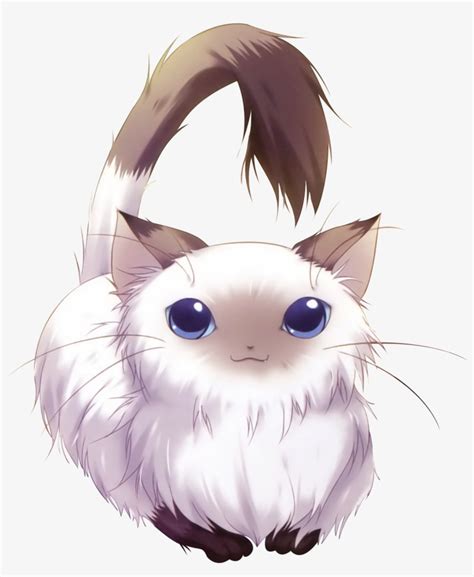 Adorable Anime Cats Cat Renders Transparent Png 1231x1440 Free