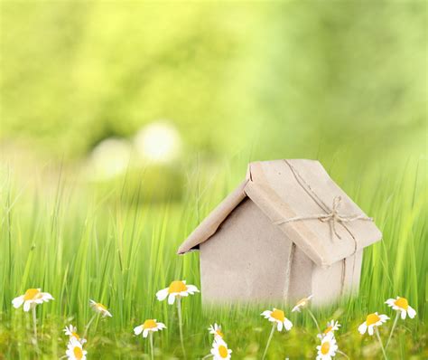 Small House T And Spring Flowers Hd Wallpaper
