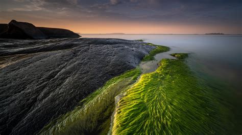 2560x1440 Greenish Coastline In Sunset 1440p Resolution Wallpaper Hd
