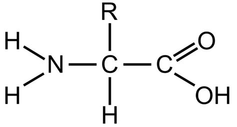 Amino Acids Sielc
