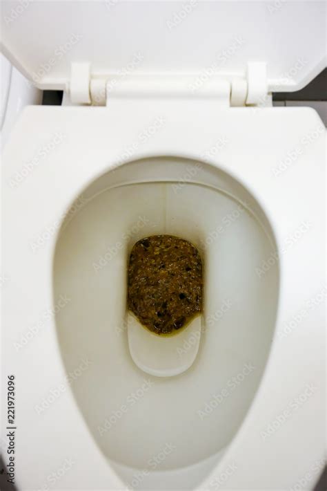 Feces In Public Toilet Users Who Forget To Flush The Toiletdirty