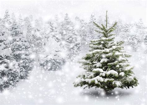 Aiikes 7x5ft Snow Backdrop Winter Natural Snowflake Christmas Tree