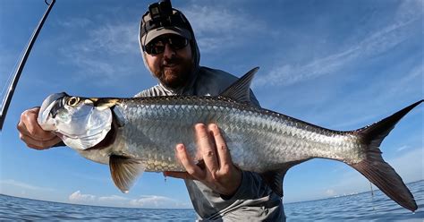 This Lure Retrieve Works Extremely Well For Tarpon Fishing Report