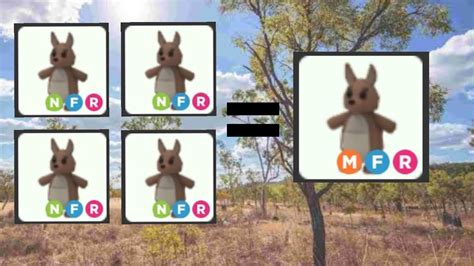Making Mega Neon Kangaroo Adopt Me Youtube