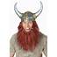 Viking Getup Costume Kit  Walmartcom