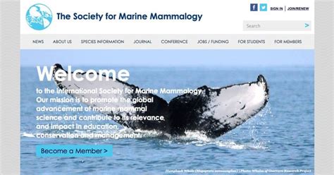 Society For Marine Mammalogy Jobs And Funding Marine Mammals
