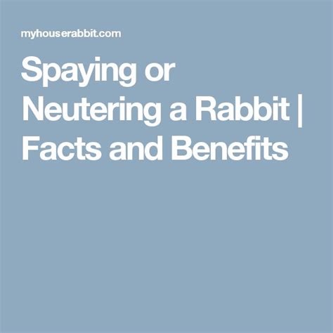 spaying or neutering a rabbit facts and benefits rabbit facts neuter spay
