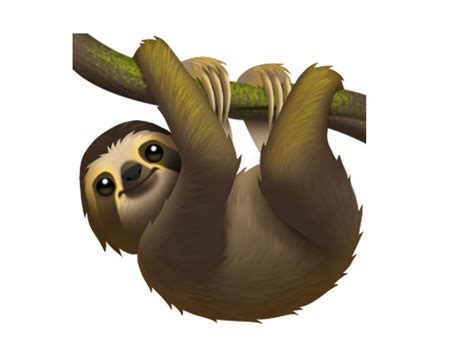 Apples New Sloth Emoji Is Bringing The Chilled Energy We All Need