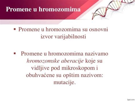 Promene U Strukturi I Broju Hromozoma