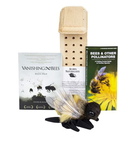 Bee Conservation Discussion Kit
