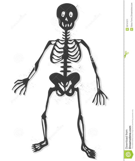 Human Bones Clipart Free Download On Clipartmag