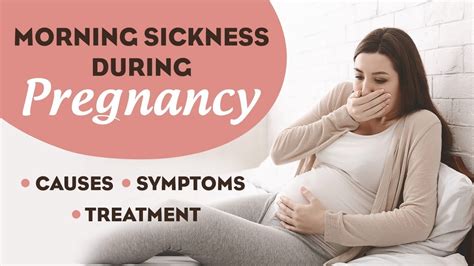 Morning Sickness During Pregnancy Youtube