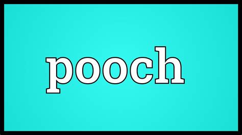 Pooch Meaning Youtube