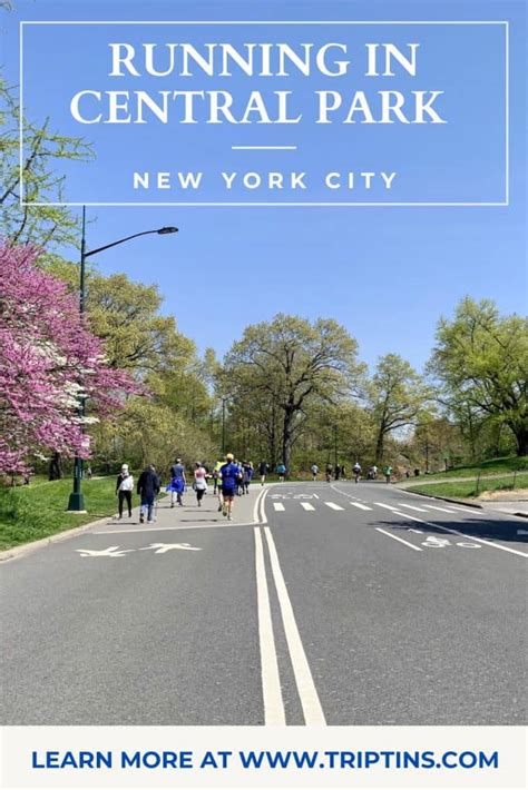 A Complete Guide To Running In Central Park Jogging Routes Map Tips