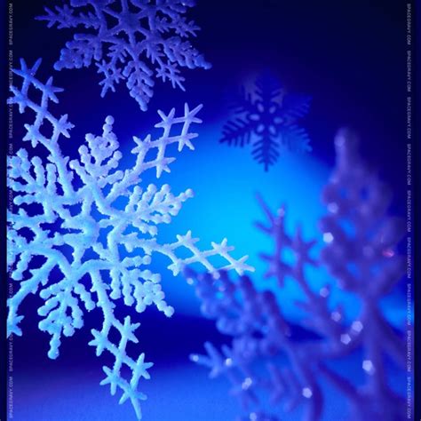 17 Best Images About Snowflakes On Pinterest Snowflakes Macro Photo