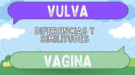 Diferencias Entre Vulva Y Vagina