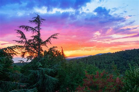 Cloudy Sky Over Wooded Region Sunset Stock Photos Free And Royalty Free