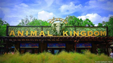 Disneys Animal Kingdom Orlando ⋆ Most Interesting