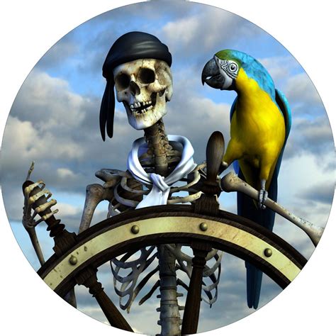 So now you might be asking what are your options? Tire Cover Central Pirate & Parrot Spare Tire Cover ...