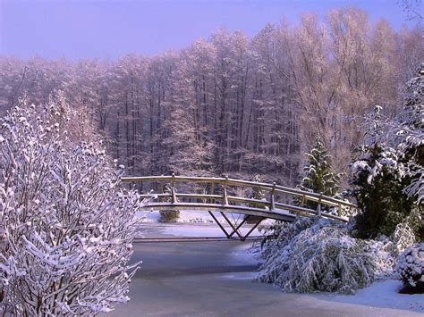Bridges In Winter Wallpapers High Quality Download Free