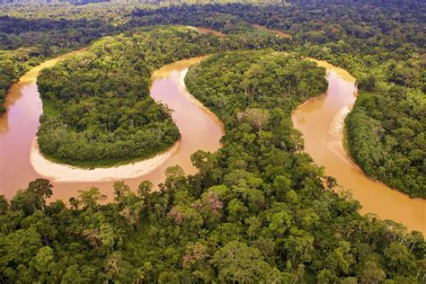 Amazon River Pictures - PictureMeta