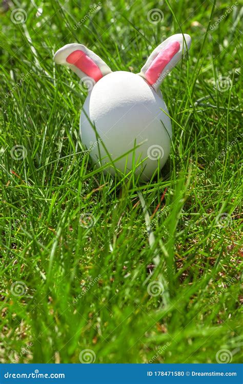 Easter Bunny Made From Egg On A Fresh Green Grass Stock Photo Image