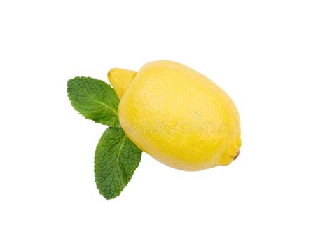 Freshness Lemon Fruit With A Leaves On A White Background Stock Photo