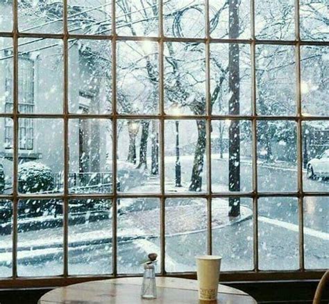 Pin By Ruthann Mccoy On Winter Beauty Winter Window Winter Scenery