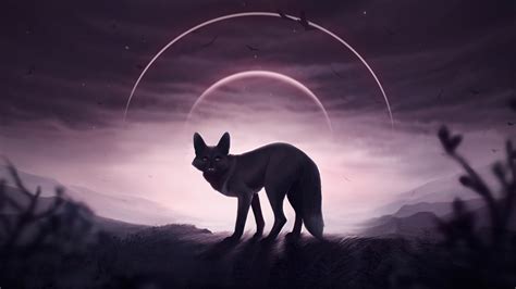 2560x1440 Fox Wolf 5k 1440p Resolution Hd 4k Wallpapers Images