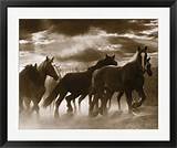 Framed Art Of Horses Images