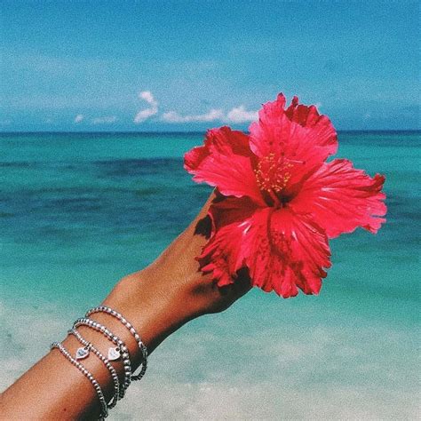 Aesthetic Summer Hawaiian Flowers 🌺 🌊 Beach Wall Collage Beach