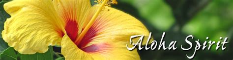 Share The Aloha Spirit Surfn Beach Scene Magazine