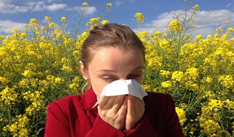 Potravinové alergie Jak ji zjistit a příznaky a test alergie Mirdo cz