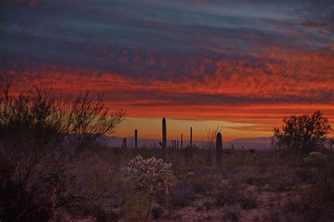 Sonoran Desert Sunset Flickr Photo Sharing
