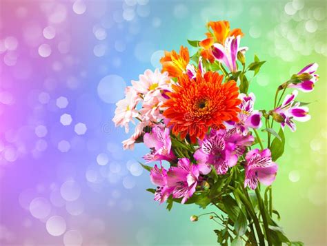 Bright Flower Bouquet Stock Image Image Of Elegance 21366941
