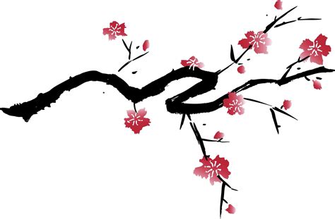 Cherry Blossom High Resolution Wallpapers Widescreen Cherry Blossom