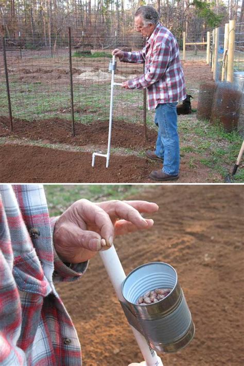 For a crafty diy'er, pvc pipe is inexpensive and easy to work with. 15 Low-Cost DIY Gardening Projects Made With PVC Pipes | Do it yourself ideas and projects