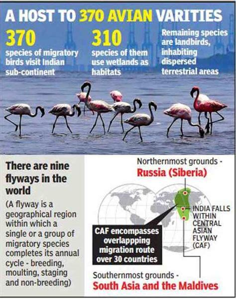 India Unveils Five Year Action Plan To Remain A Paradise Of Migratory