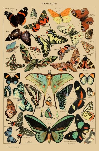 Vintage Butterfly Art Embroidery Fiber Arts