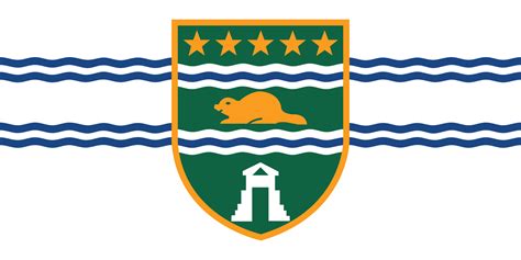 Do you guys know that the city of Surrey actually has a flag? : SurreyBC