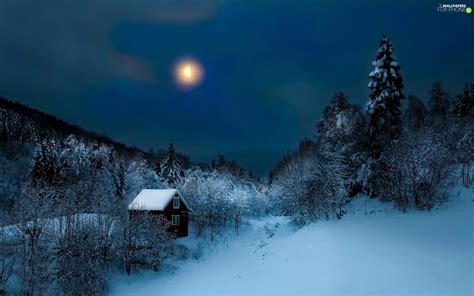 Winter Home Moon Forest For Phone Wallpapers 1920x1200