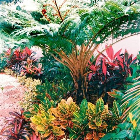 30 Amazing And Beautiful Tropical Garden Ideas 21