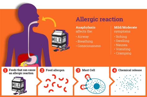 Examples include reactions to certain foods or. What is anaphylaxis? A student guide | Spare Pens in Schools