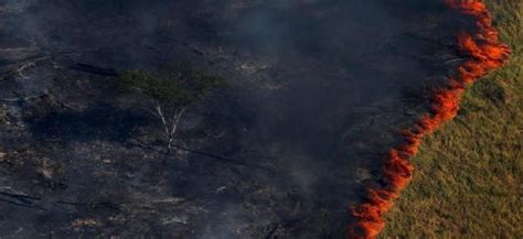 Brazils Jair Bolsonaro Causes Global Outrage Over Amazon Fires News