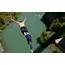 Bungee Jumping In Rishikesh  Weekend Thrill