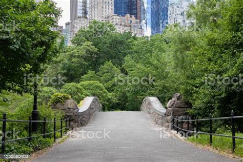 뉴욕시의 봄 동안 녹색 나무가있는 센트럴 파크의 연못 위에 빈 틈새 다리는 고층 빌딩을 배경으로합니다 센트럴 공원 맨해튼에 대한 스톡 사진 및 기타 이미지 Istock