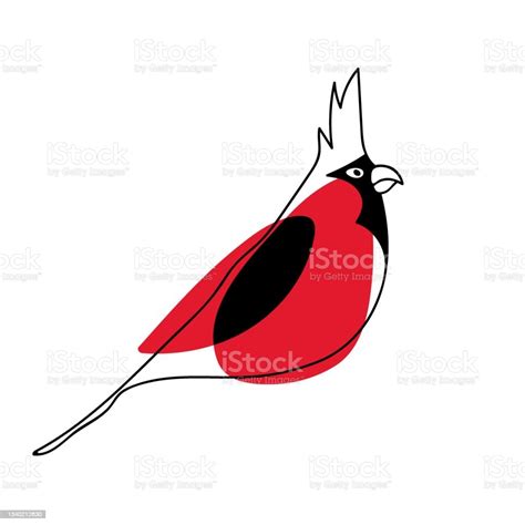 Red Male Northern Cardinal Red Bird With Crested Hand Drawn Cute Bird