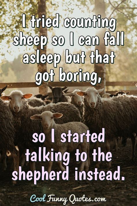 I Tried Counting Sheep So I Can Fall Asleep But That Got Boring So I